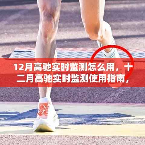 高馳實(shí)時(shí)監(jiān)測使用指南，掌握十二月實(shí)時(shí)數(shù)據(jù)監(jiān)測技巧