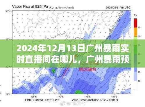 2024年廣州暴雨預警及實時直播間觀看指南