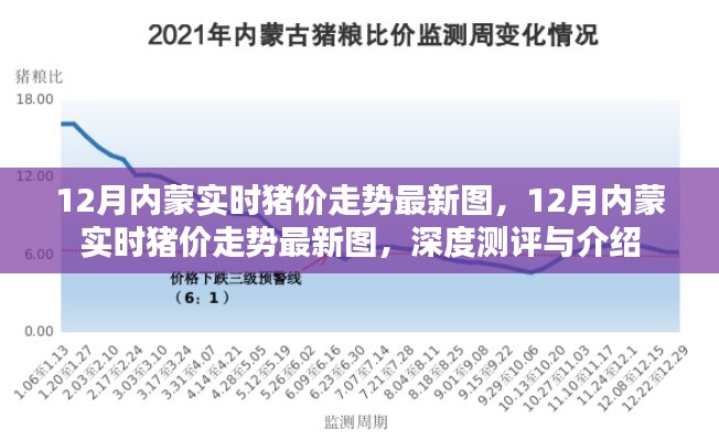 深度解讀，最新12月內蒙古實時豬價走勢圖及行情預測