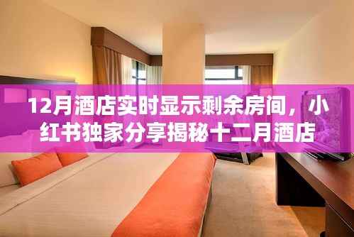 揭秘十二月酒店實時房態顯示秘籍，小紅書獨家分享，輕松預訂心儀住宿！