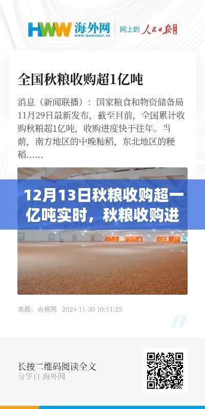 秋糧收購進展順利，截至12月13日實時收購量超一億噸的綜合分析