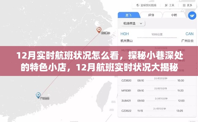 探秘小巷深處的特色小店與揭秘十二月航班實(shí)時(shí)狀況，飛行指南與深度體驗(yàn)