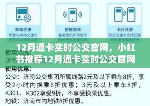 12月通卡實時公交官網指南，輕松掌握公交出行信息，小紅書推薦！