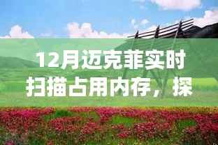 邁克菲實時掃描與內存占用，自然之旅尋找內心平和之地