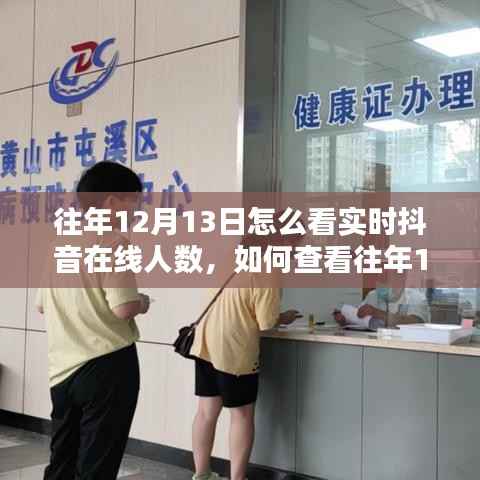 往年12月13日抖音實(shí)時(shí)在線人數(shù)查看指南，詳細(xì)步驟揭秘