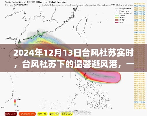 臺風杜蘇下的夏日奇遇，友情避風港實時報道 2024年12月13日