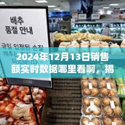 揭秘2024年銷售額實時數(shù)據(jù)獲取渠道，掌握商業(yè)脈搏的必備指南