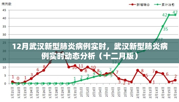 武漢新型肺炎病例實時動態分析（十二月版，最新實時數據與趨勢分析）