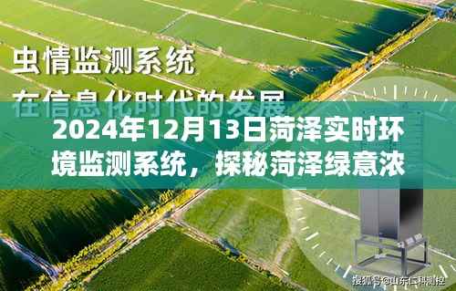 探秘菏澤綠意濃時，實時環境監測系統邀您共賞自然之美