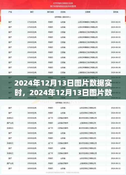 2024年12月13日圖片數據實時獲取與處理步驟指南，從初學者到進階用戶的全面指南