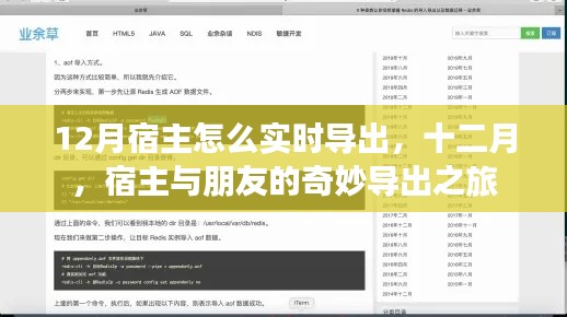 十二月宿主與朋友的奇妙導出之旅，實時操作指南