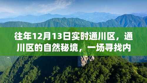 通川區(qū)自然秘境，尋找內(nèi)心平靜的奇妙之旅，12月13日實(shí)時(shí)探索之旅
