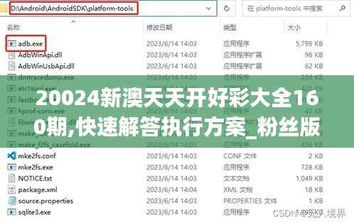 20024新澳天天開好彩大全160期,快速解答執(zhí)行方案_粉絲版4.505