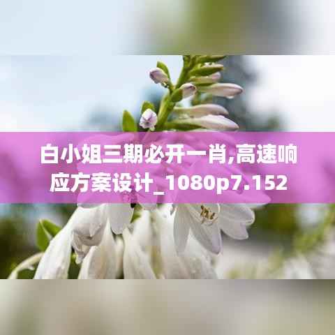 白小姐三期必開一肖,高速響應方案設計_1080p7.152