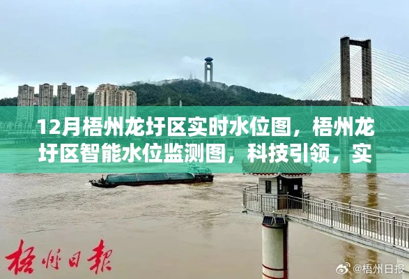 梧州龍圩區(qū)實(shí)時智能水位監(jiān)測，科技掌控江河動態(tài)