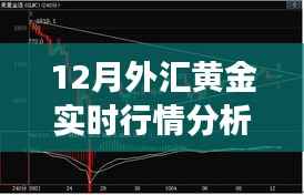 揭秘黃金走勢，12月外匯黃金實時行情分析與解讀三大要點