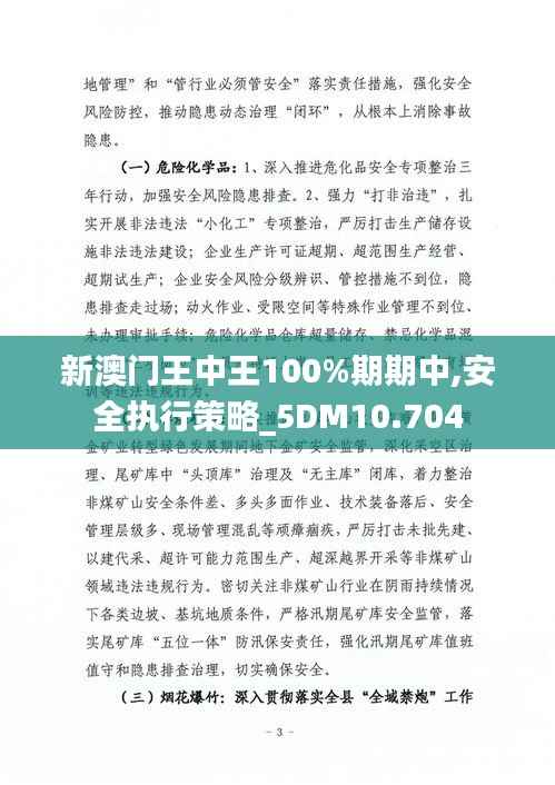 新澳門王中王100%期期中,安全執行策略_5DM10.704