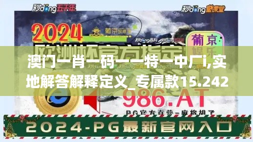 澳門一肖一碼一一特一中廠i,實地解答解釋定義_專屬款15.242