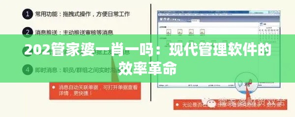202管家婆一肖一嗎：現代管理軟件的效率革命
