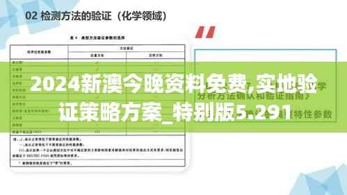2024新澳今晚資料免費,實地驗證策略方案_特別版5.291