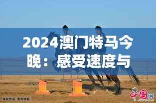 2024澳門特馬今晚：感受速度與激情的盛會(huì)時(shí)刻