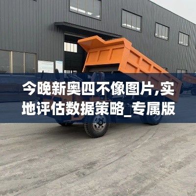 今晚新奧四不像圖片,實地評估數據策略_專屬版8.780