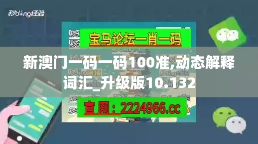新澳門一碼一碼100準,動態解釋詞匯_升級版10.132