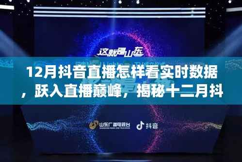 揭秘十二月抖音直播實時數據的魅力與成長之路，躍入巔峰的直播數據解析