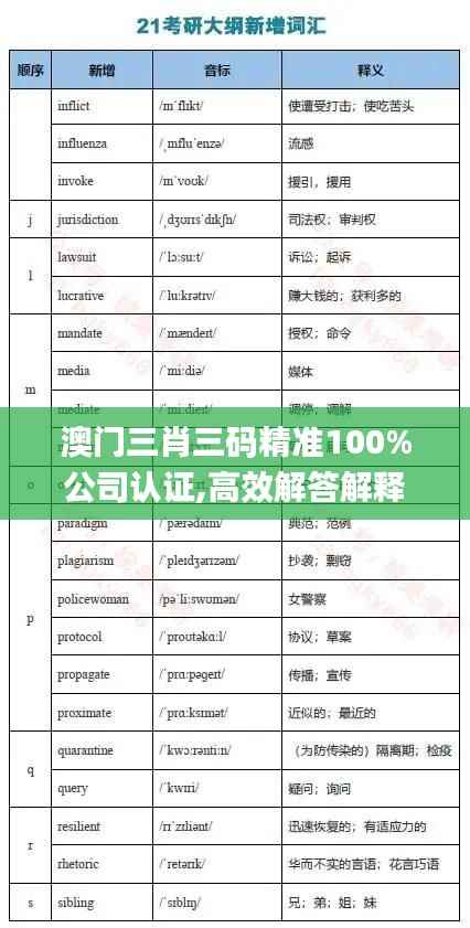 澳門三肖三碼精準100%公司認證,高效解答解釋定義_錢包版10.807