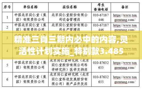 精準三肖三期內(nèi)必中的內(nèi)容,靈活性計劃實施_特別款3.485