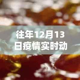 歷年12月13日疫情下的堅守與希望，深度解析實時動態紀錄片回顧