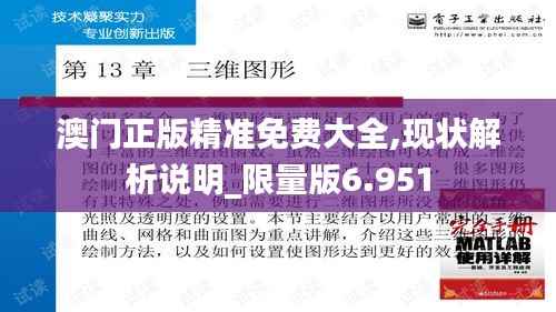 澳門正版精準免費大全,現狀解析說明_限量版6.951