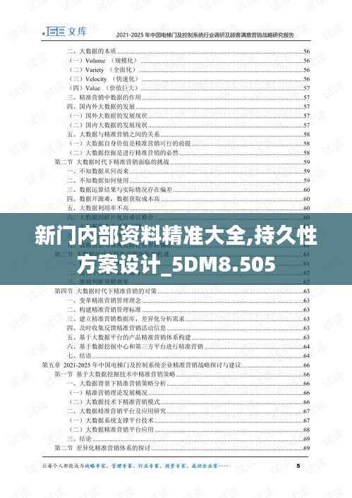 新門內部資料精準大全,持久性方案設計_5DM8.505