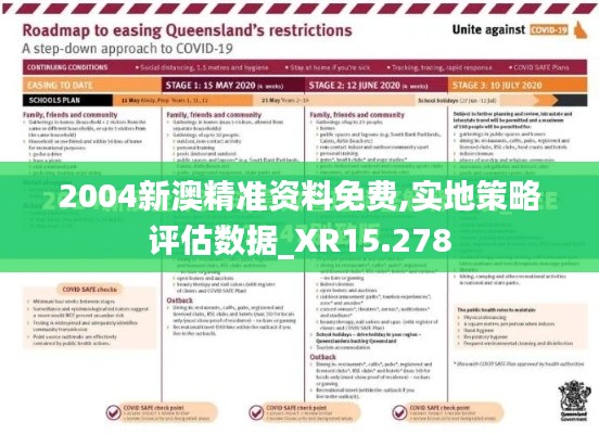 2004新澳精準(zhǔn)資料免費,實地策略評估數(shù)據(jù)_XR15.278