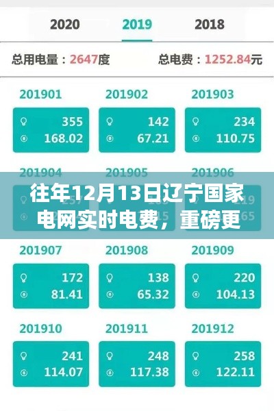 重磅解讀，往年12月13日遼寧國(guó)家電網(wǎng)實(shí)時(shí)電費(fèi)變化細(xì)節(jié)分析！