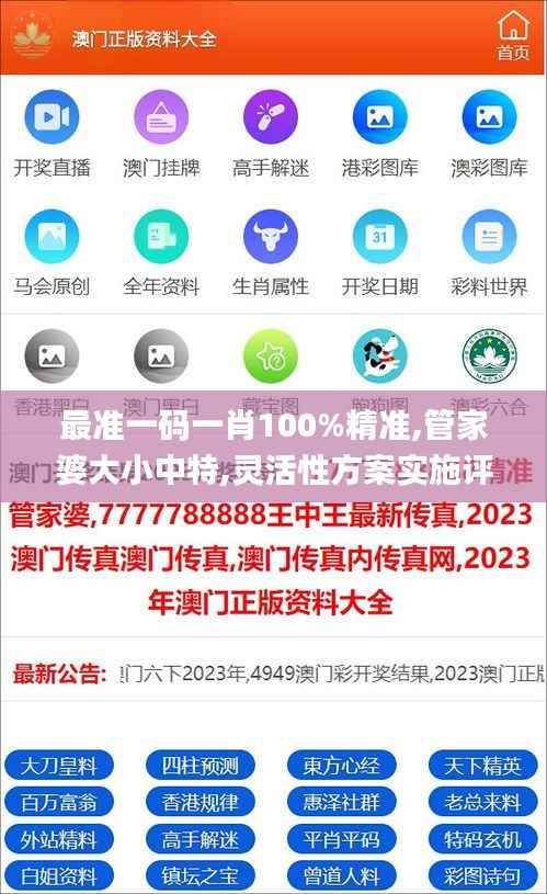 最準一碼一肖100%精準,管家婆大小中特,靈活性方案實施評估_XP15.622