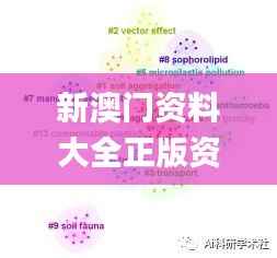 新澳門資料大全正版資料？奧利奧,適用性方案解析_GT3.771