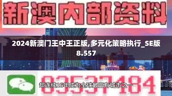 2024新澳門王中王正版,多元化策略執行_SE版8.557