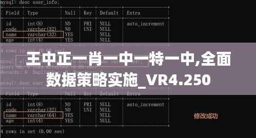王中正一肖一中一特一中,全面數(shù)據(jù)策略實(shí)施_VR4.250