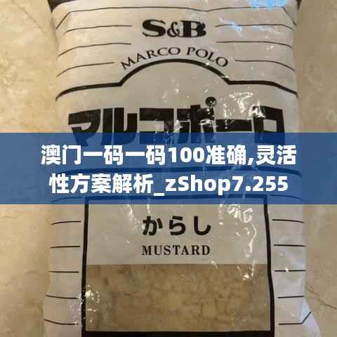 澳門一碼一碼100準確,靈活性方案解析_zShop7.255