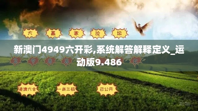 新澳門4949六開彩,系統解答解釋定義_運動版9.486