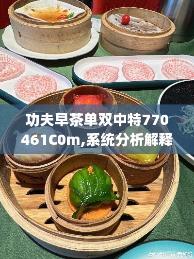 功夫早茶單雙中特770461C0m,系統分析解釋定義_4DM18.316