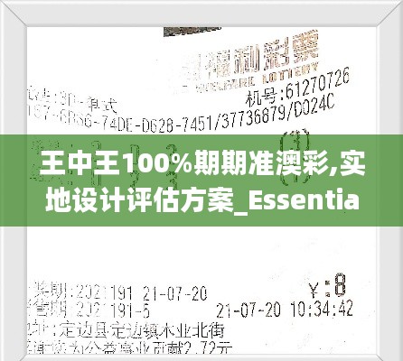 王中王100%期期準澳彩,實地設計評估方案_Essential2.191