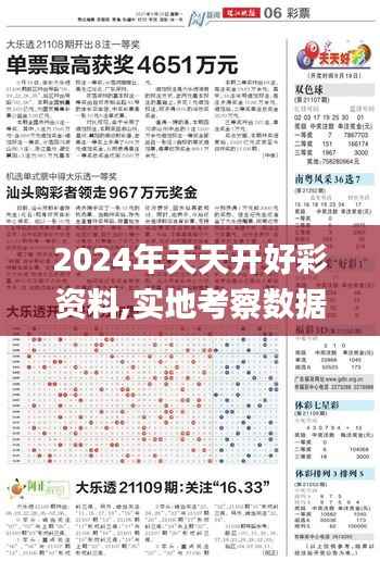 2024年天天開好彩資料,實地考察數據執行_MP6.785