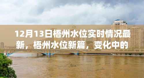 梧州水位實時更新，變化中的力量，學習與成就的自信之旅