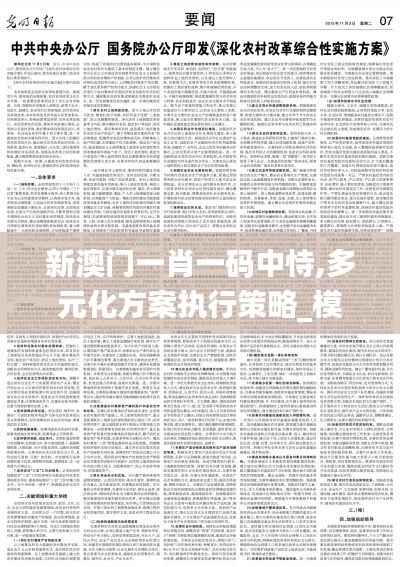 新澳門一肖一碼中恃,多元化方案執行策略_模擬版17.491