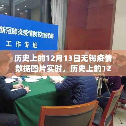 歷史上的12月13日無錫疫情數據深度解析，自然探索背后的真相揭秘