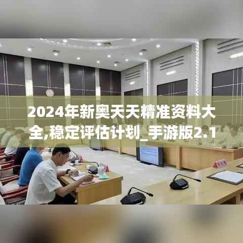 2024年新奧天天精準資料大全,穩定評估計劃_手游版2.138