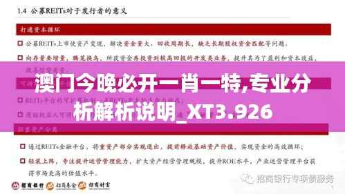 澳門今晚必開一肖一特,專業分析解析說明_XT3.926