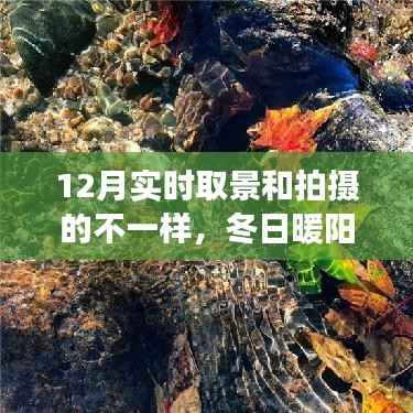 冬日暖陽(yáng)魔法時(shí)刻，與朋友共度的溫馨拍攝之旅